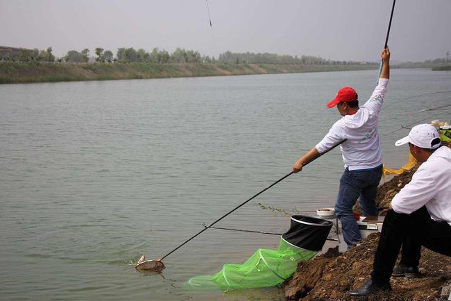 揭秘科学钓鱼最新秘籍,轻松钓上大鱼的秘诀!✨