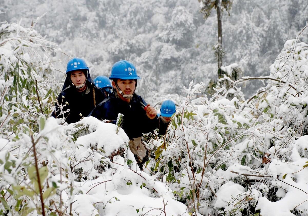 最新雪灾国家深度解析与观点阐述