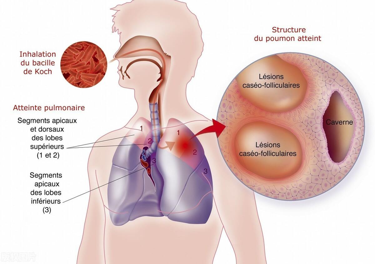 高科技重塑生活,支扩最新智能变革体验报告