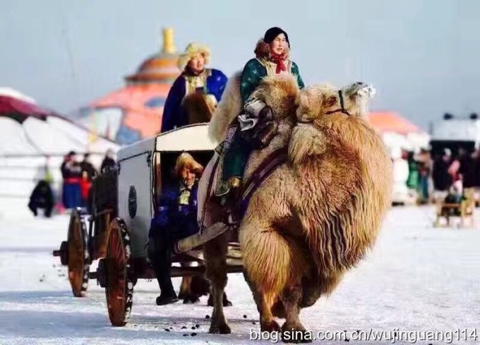 驼冰最新之旅,与自然美景的亲密接触,探寻内心平和的旅程