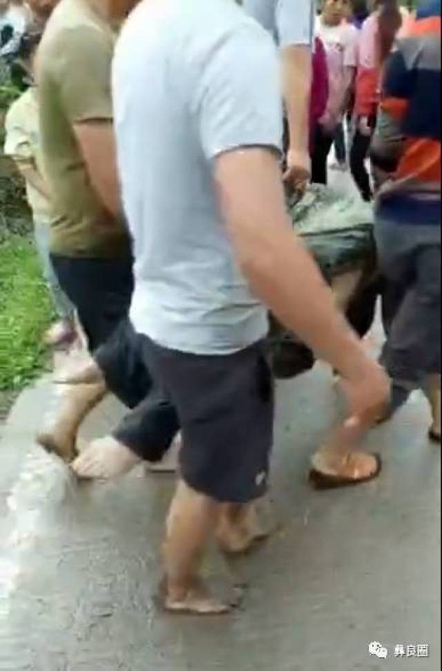 最新死人消息科技产品介绍概览