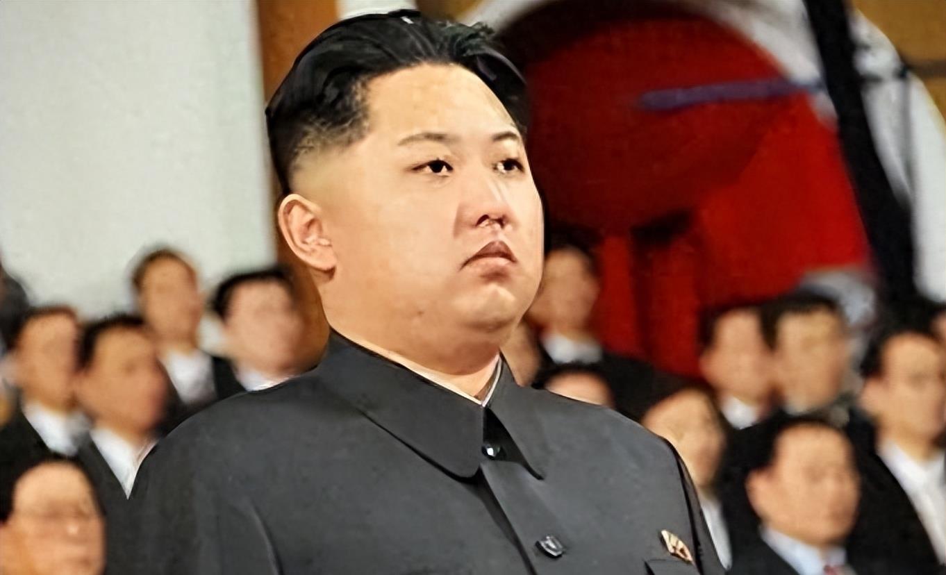 最新疫情朝鲜,观点阐述与深度分析