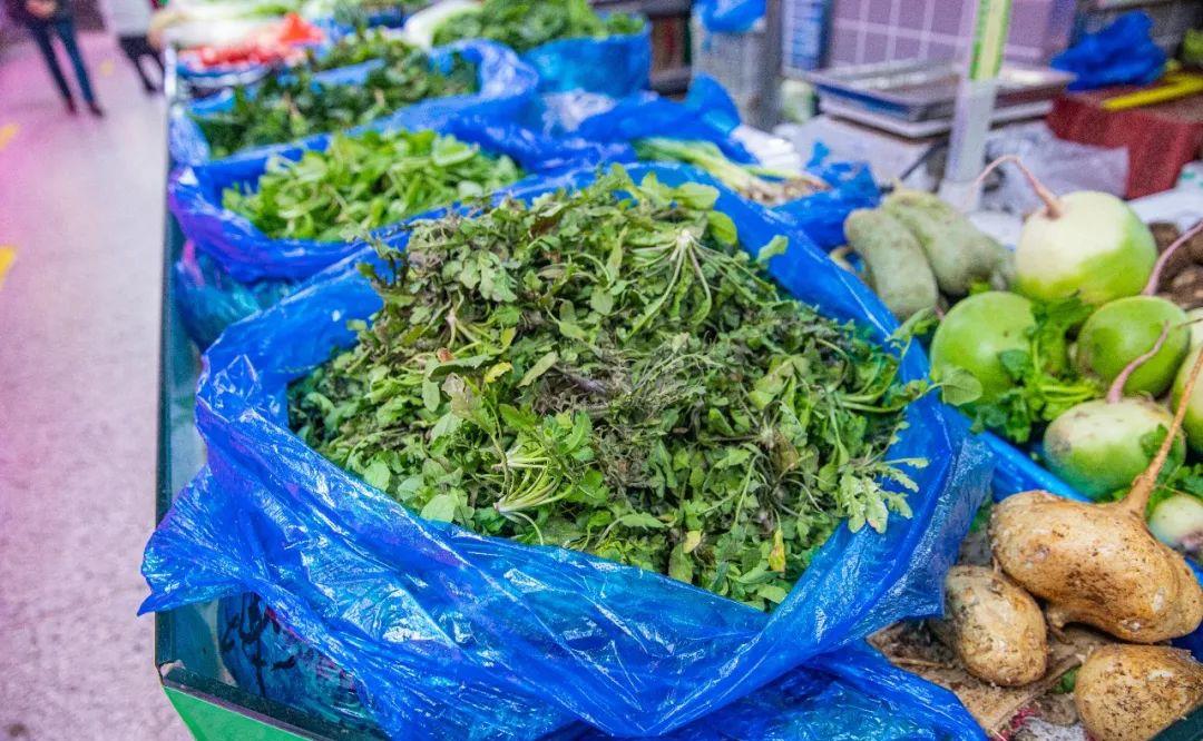 南京最新蔬菜,时代味道与文化脉络的融合