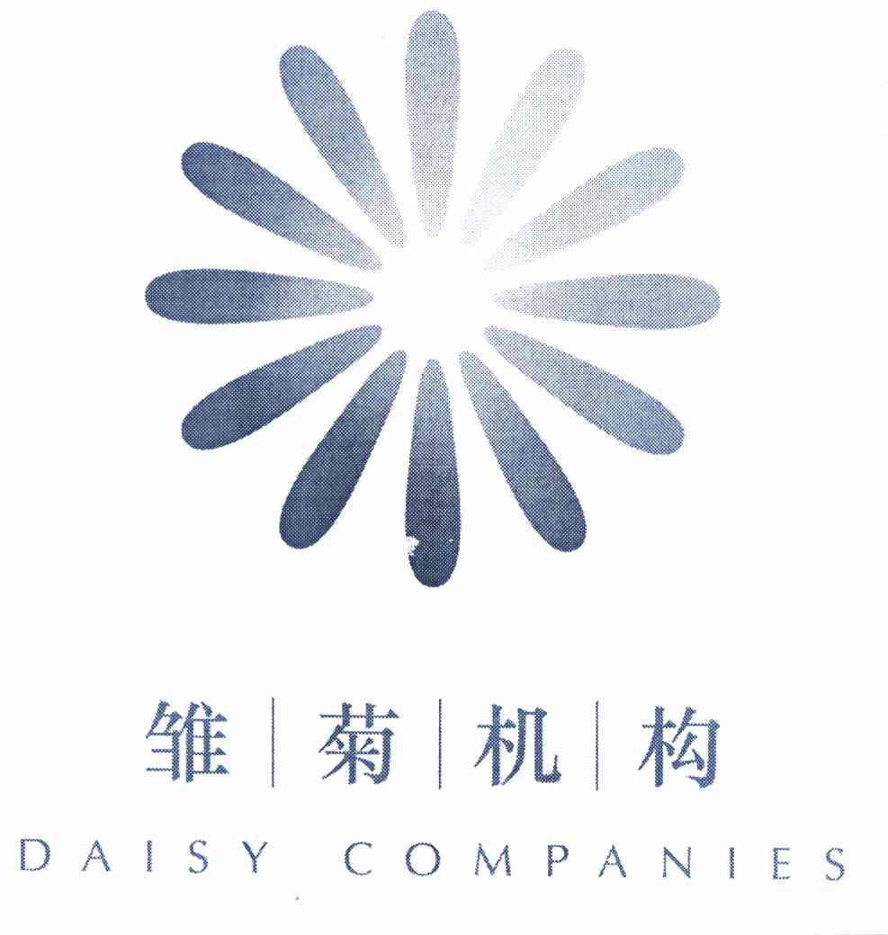 雏菊机构最新揭秘,小巷中的特色小店,隐藏宝藏大揭秘!