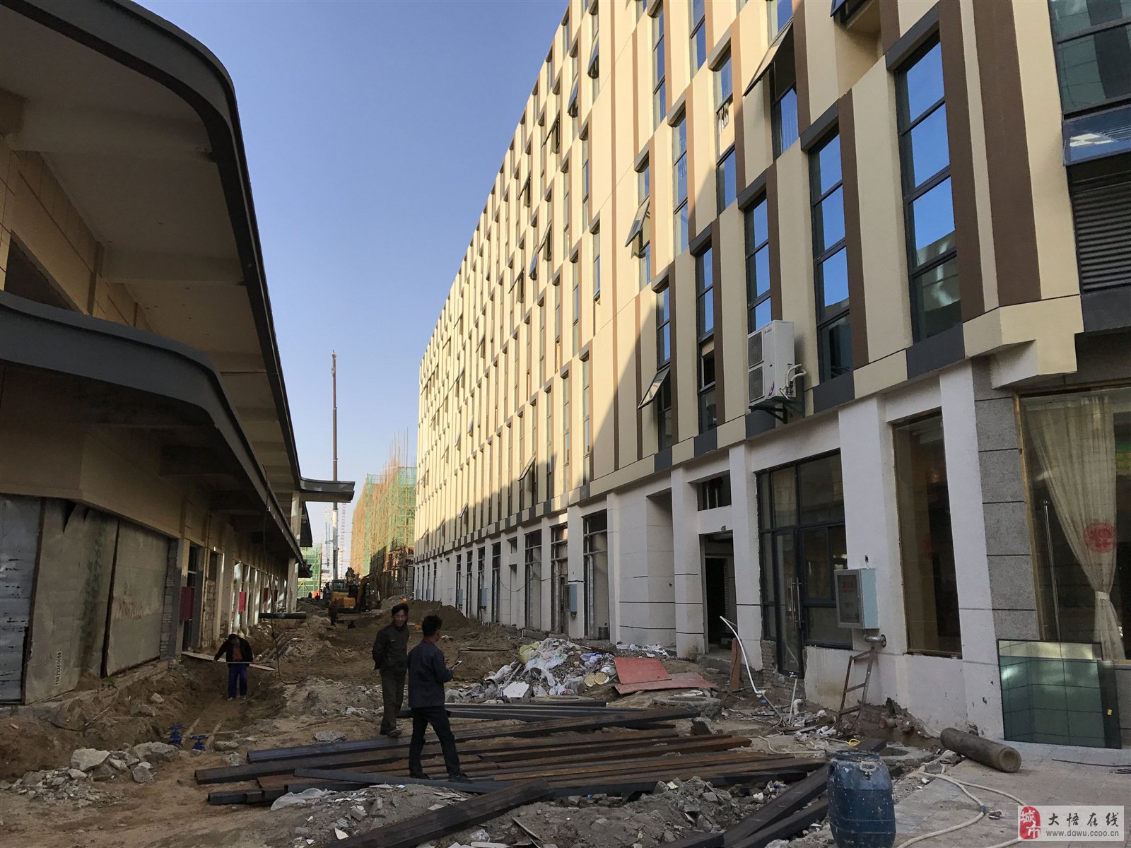 大悟最新路,友情与陪伴的温馨旅程启程