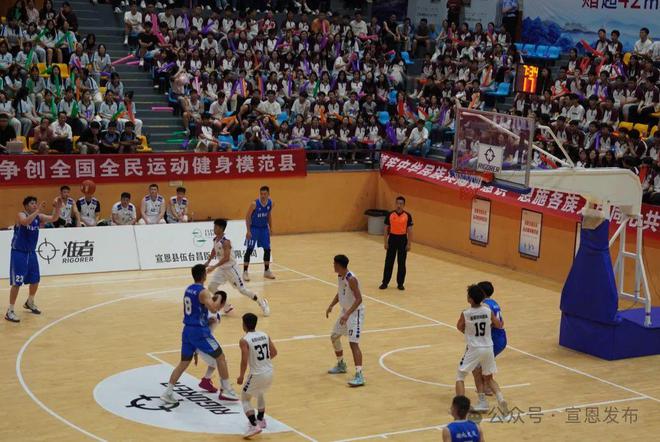 最新篮球赛事焦点,进展、展望与热门赛事回顾