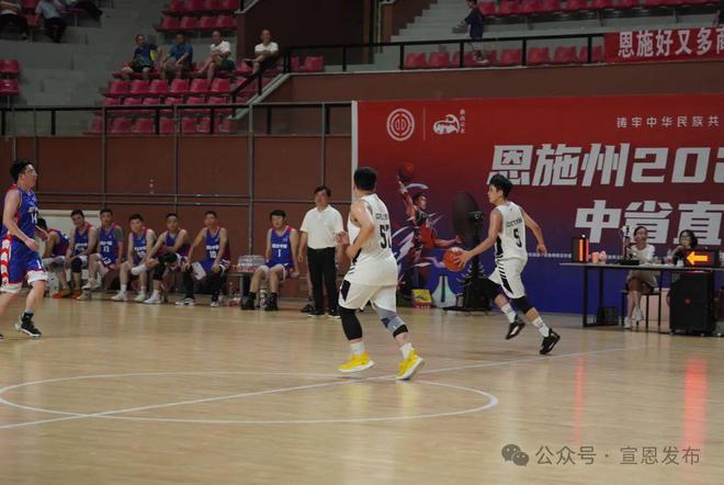 最新篮球赛事焦点,进展、展望与热门赛事回顾