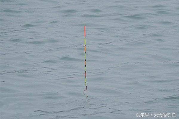 排水漂最新动态,背景、进展与重要地位