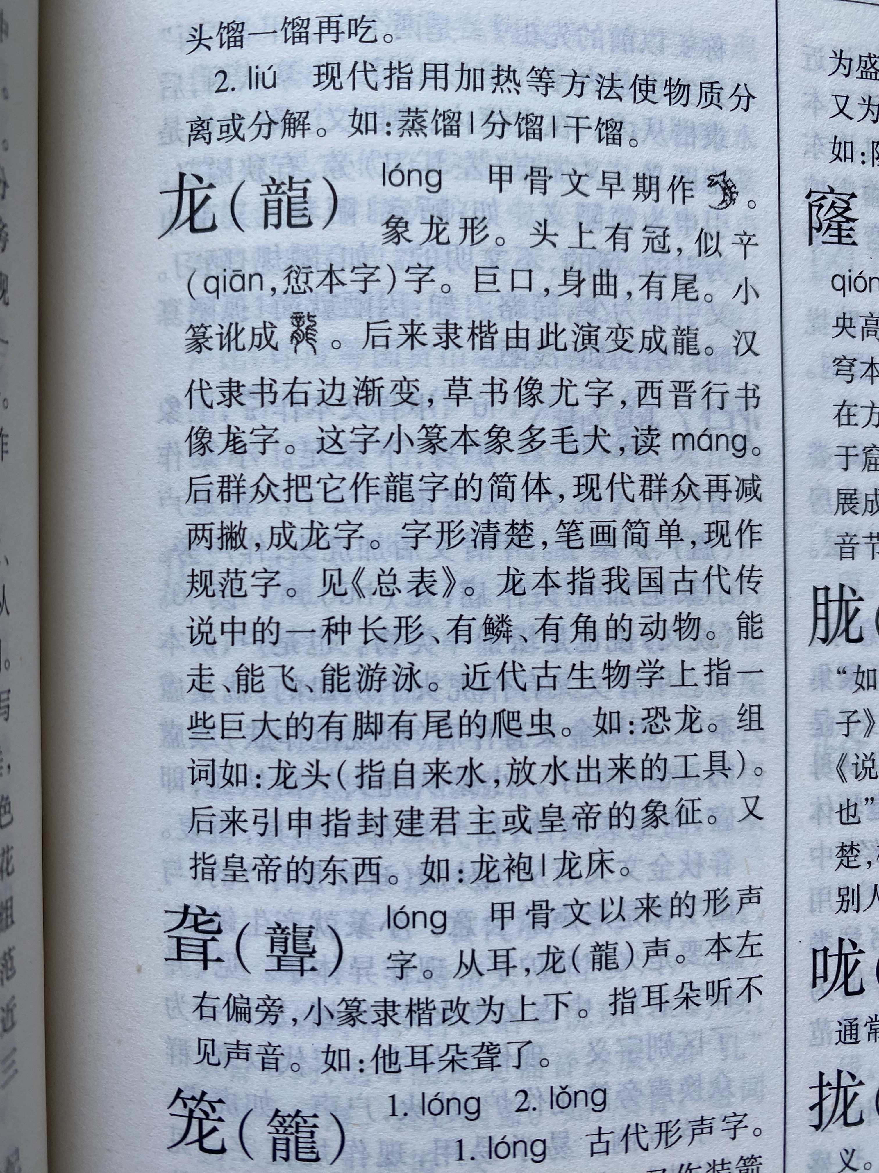 龙组词最新探索,小巷中的隐秘宝藏