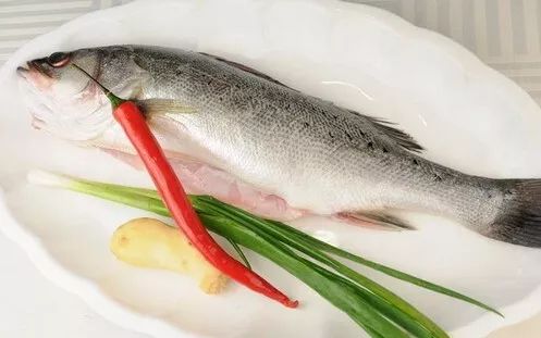 鲈鱼跃升与人生励志故事,最新价格背后的故事启示