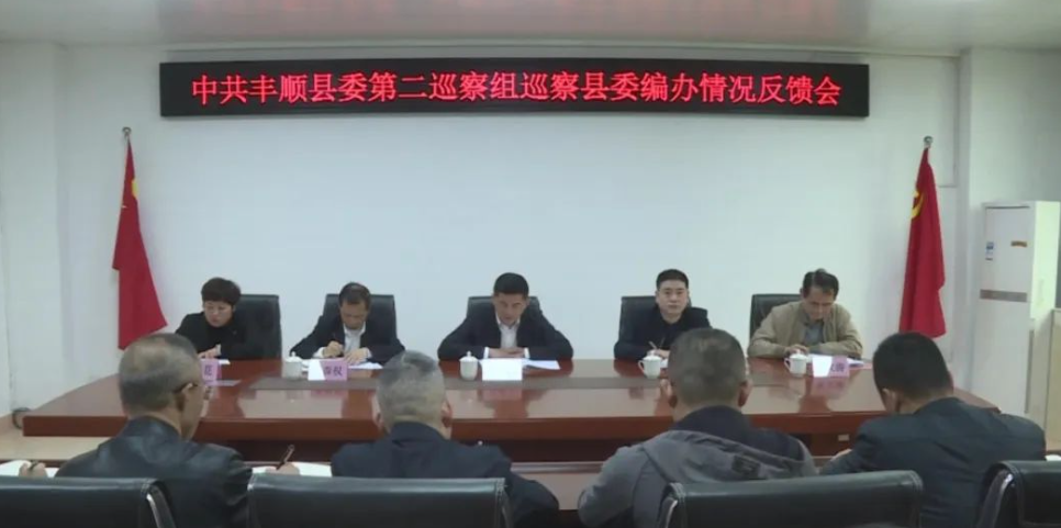 时代浪潮下的丰顺新篇章,最新新闻报道汇总