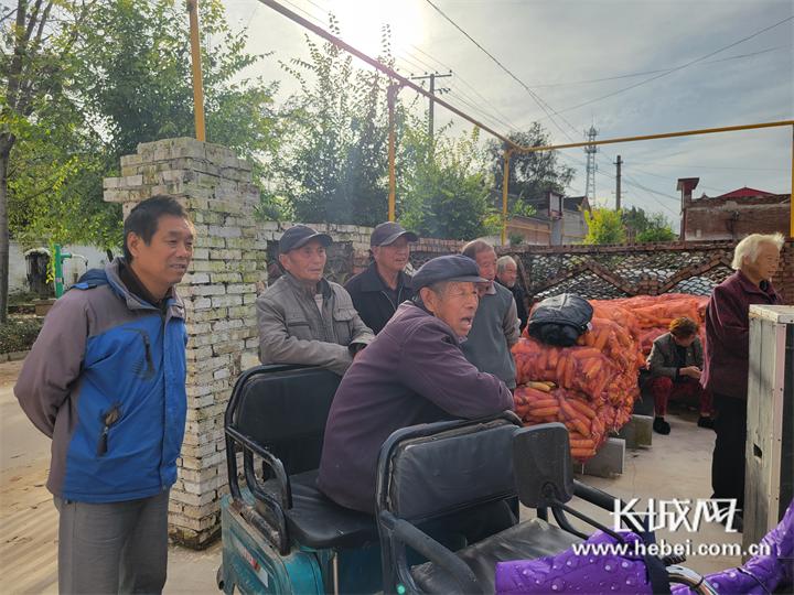 最新看戏网,带你领略戏曲世界的魅力