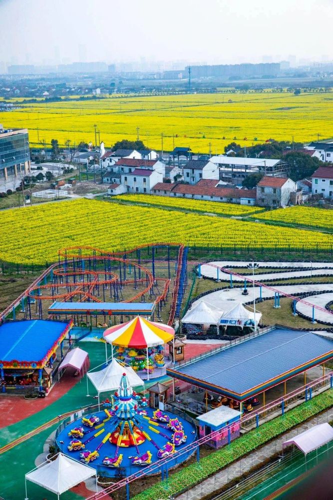 达人村最新动态,变化中的力量与自信成就感的交织展现