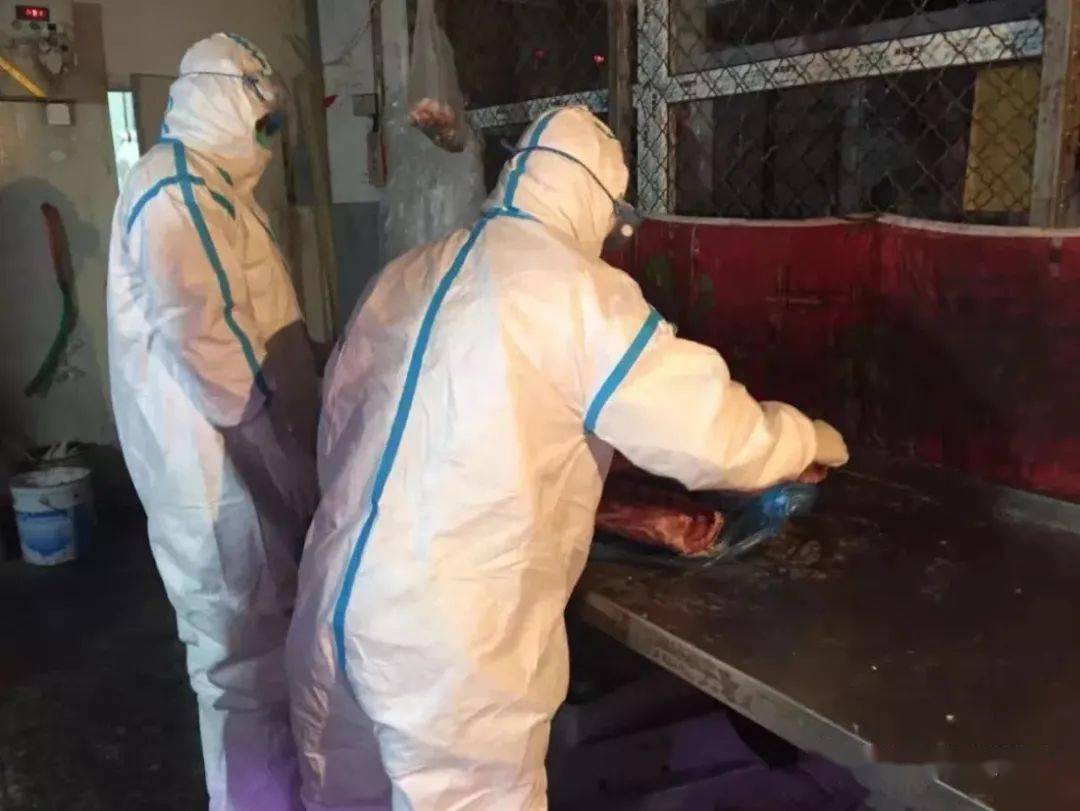 东胜疫情最新动态与小巷深处的独特风味