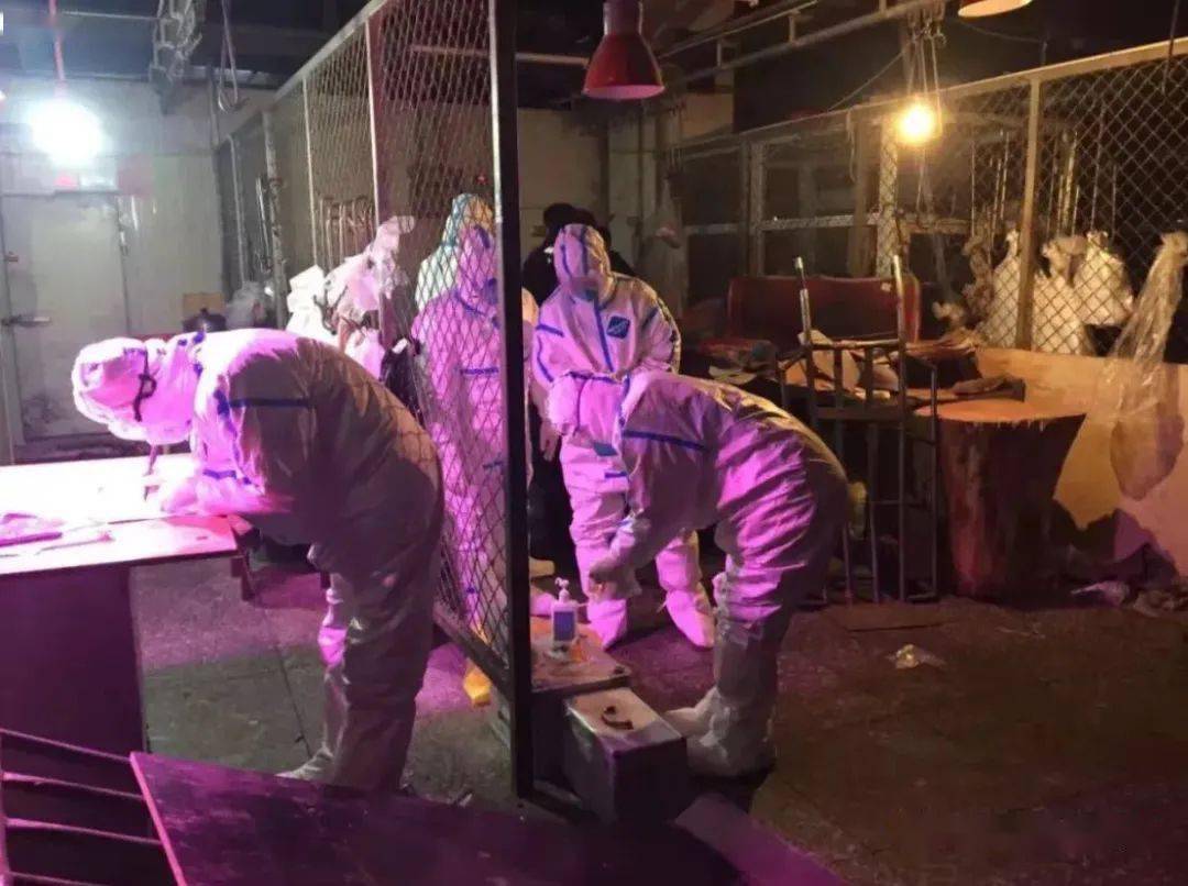 东胜疫情最新动态与小巷深处的独特风味