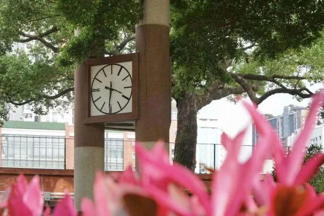 广州最新公告发布,观点阐述与分析解读