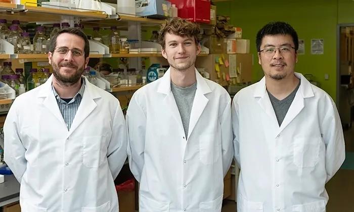 最新冠状疫苗,启程自然美景探索之旅