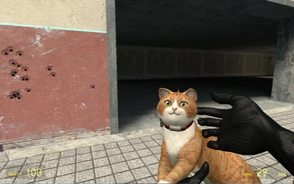 🔥猫咪CF最新动态爆料!🎉