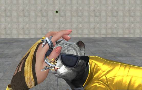 🔥猫咪CF最新动态爆料!🎉