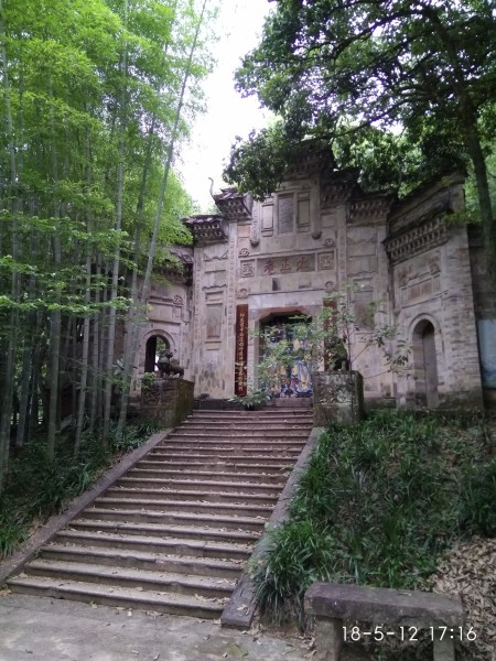 武夷记最新论述概览