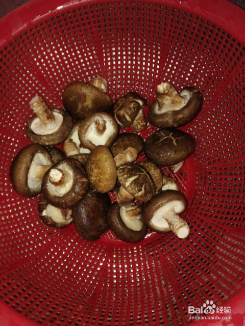 最新香菇群,小巷隐藏宝藏,味蕾与环境的独特邂逅之旅