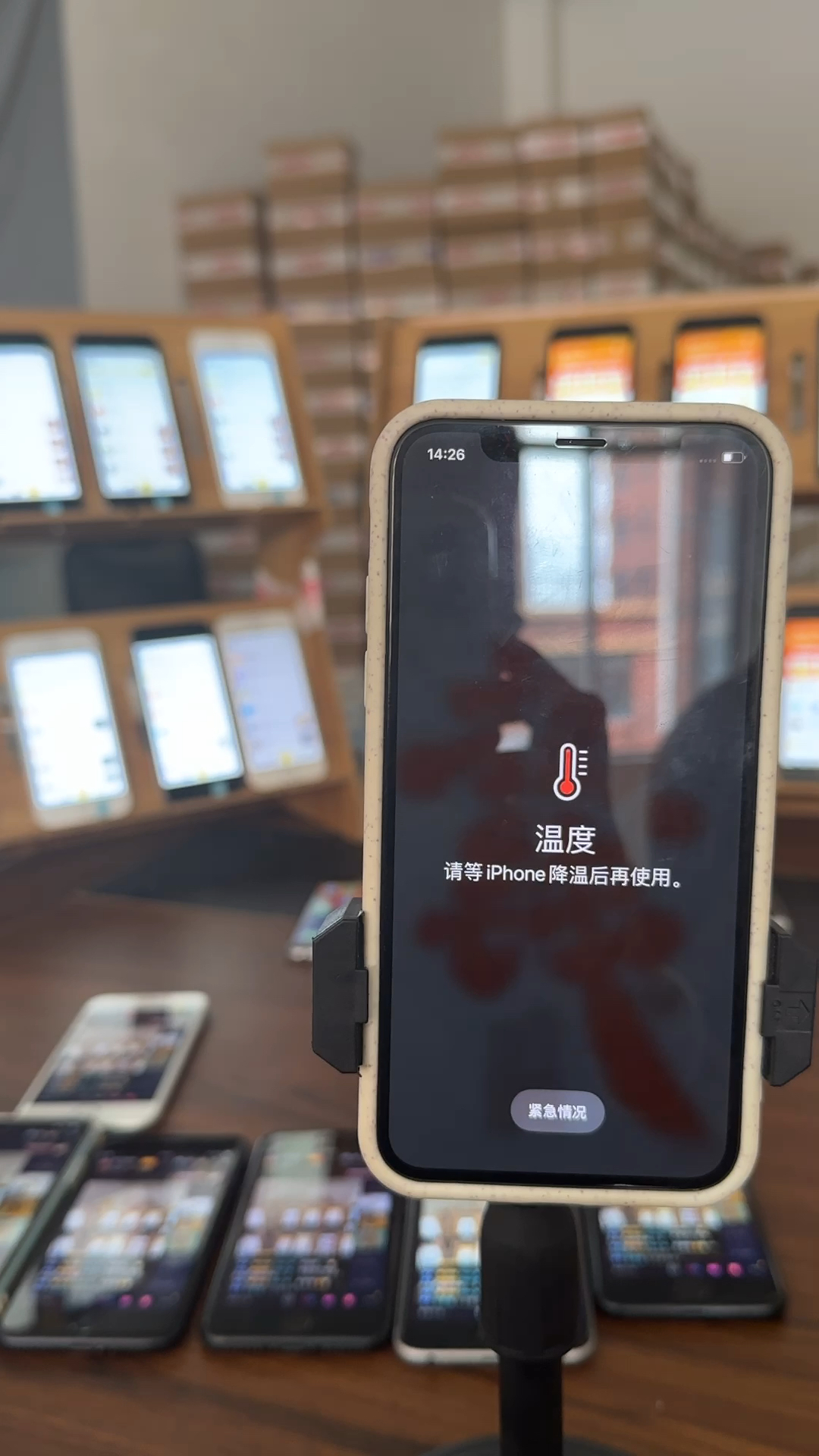 苹果最新直播,变化中的学习之路,自信与成就感的起点