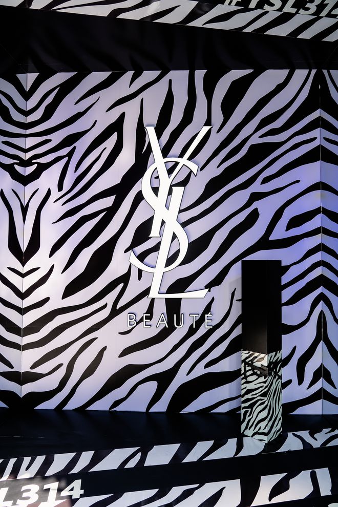 斑马限定最新攻略,一步步教你完成任务与掌握学习技能