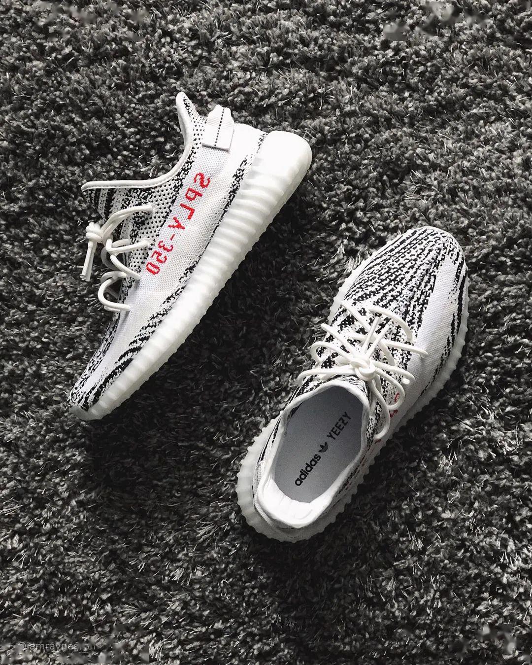 斑马限定最新攻略,一步步教你完成任务与掌握学习技能