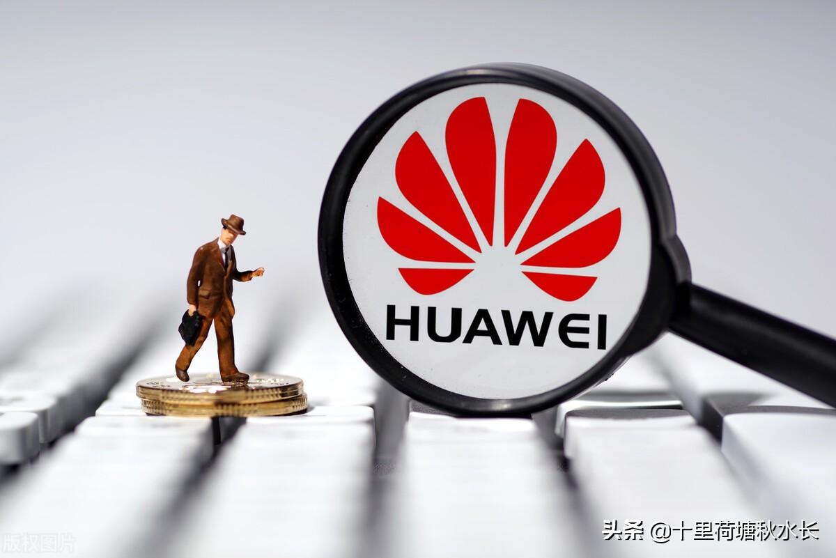 华为最新书籍深度解析,探究其观点与影响力