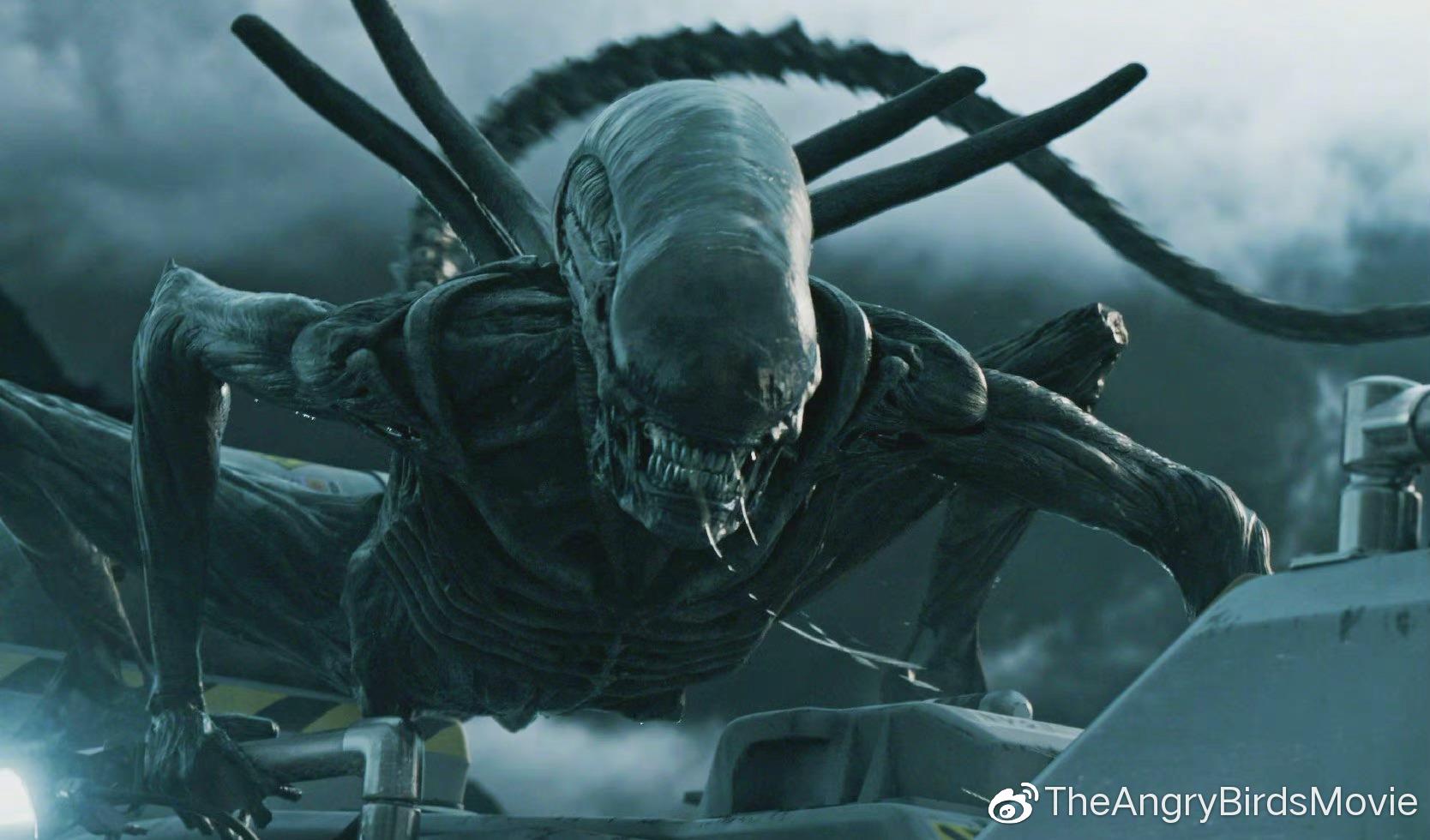 异形最新消息揭秘,深度解析与未来走向探讨