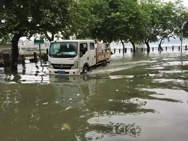 阜阳汛情更新,乘风破浪,共筑希望之堤