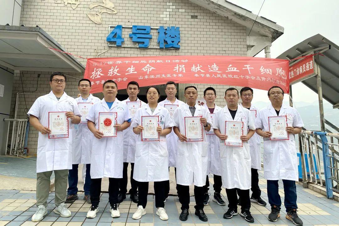 支医最新动态,背景、进展与影响分析