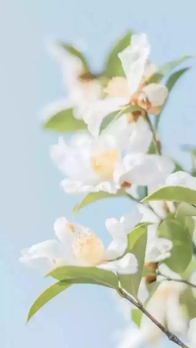 颓废壁纸下的温馨日常时光