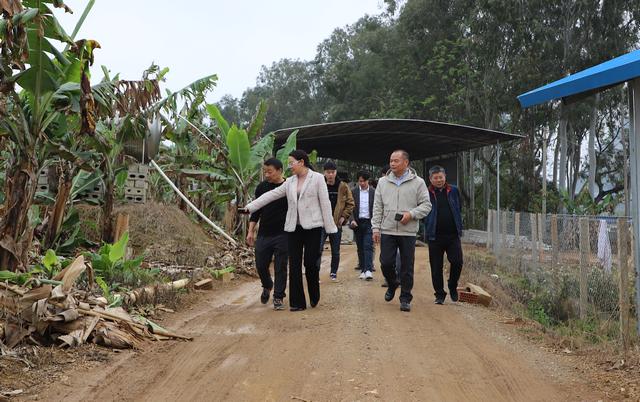 智慧农业新时代,养殖业的最新发展与创新探索!