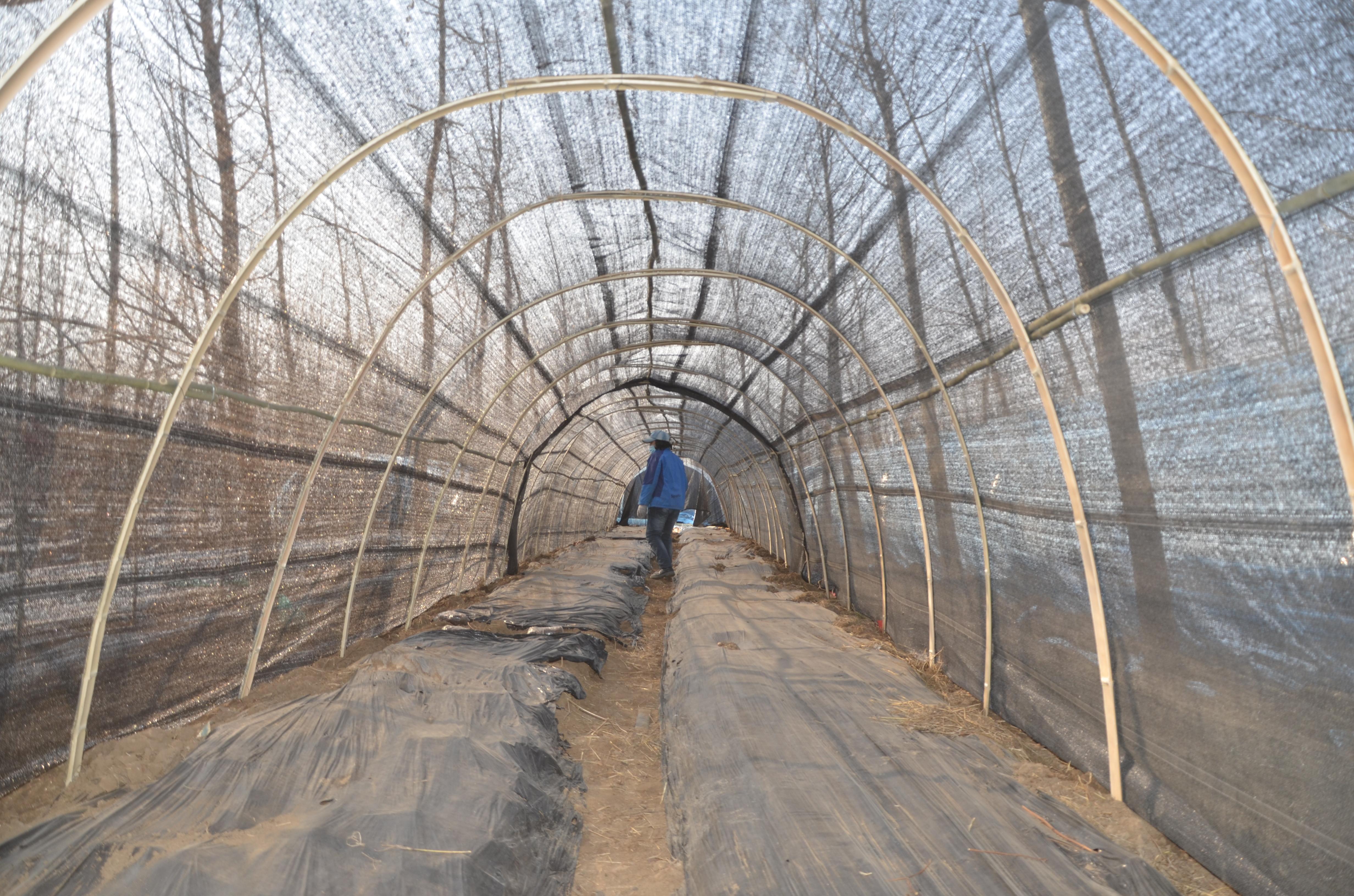 智慧农业新时代,养殖业的最新发展与创新探索!