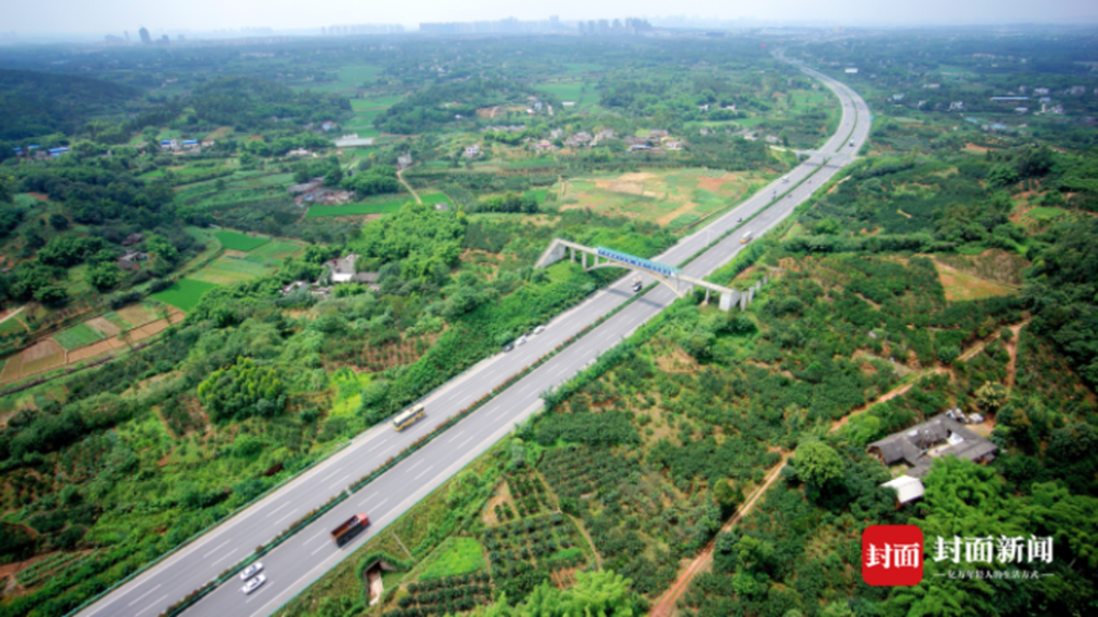 四川路况更新,路上的奇遇与家的温馨之旅