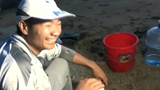 阿峰最新赶海视频,学习之旅中的变化与成就感的源泉