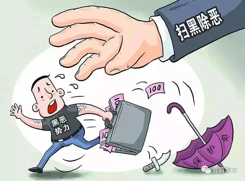 最新扫恶除恶工作进展及成果汇报