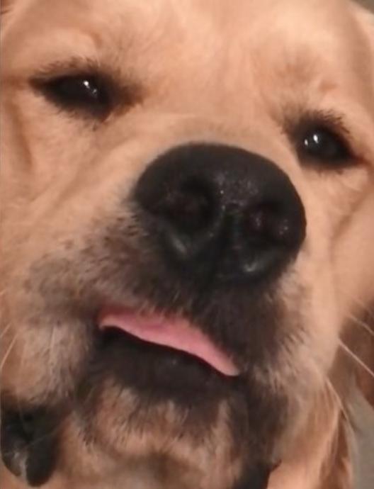 最新QQ单透挂探索与解析指南