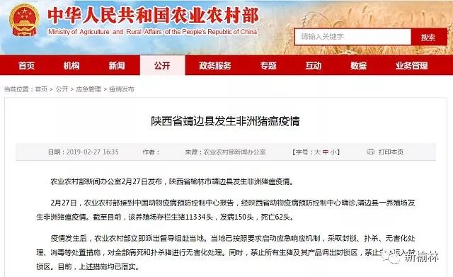 瘟情最新新闻报道