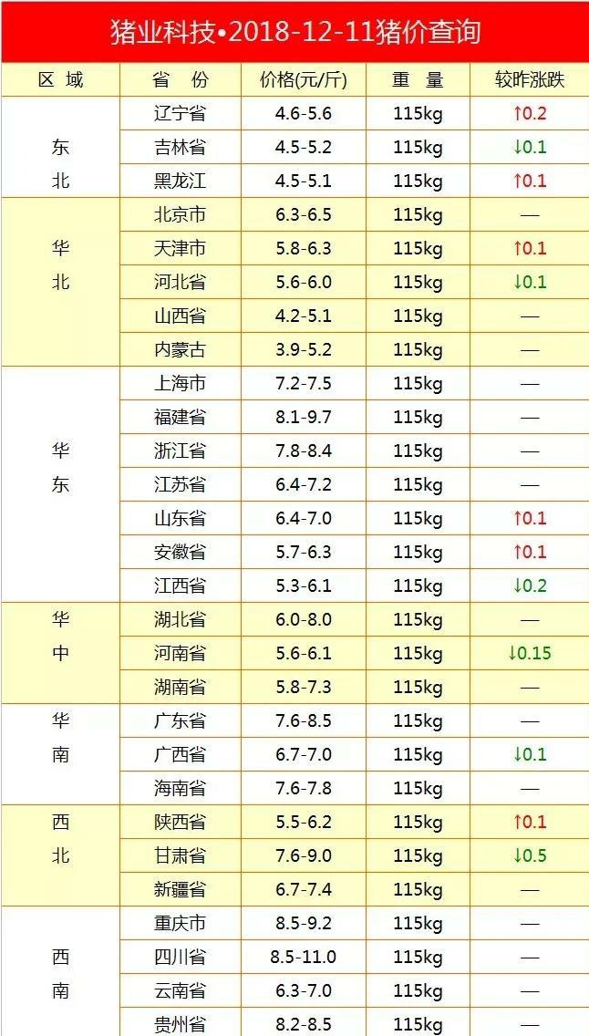 今日综油价格概览,最新油价信息一览无余