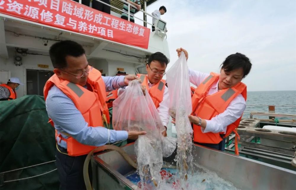 太平湾港区最新动态，探索自然美景的愉悦之旅启程