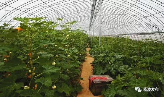 时尚消费品 第227页