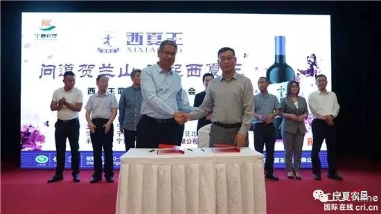 时尚消费品 第225页