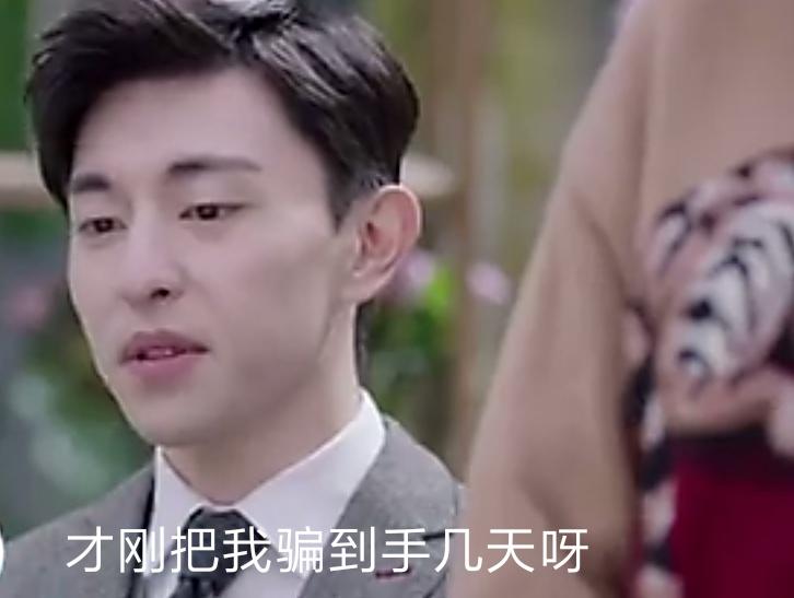 甜蜜蜜电影剧情，时代印记与情感交响的交织故事