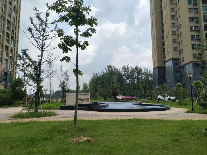 淮南碧荷庭最新动态与小巷深处的独特风味探索