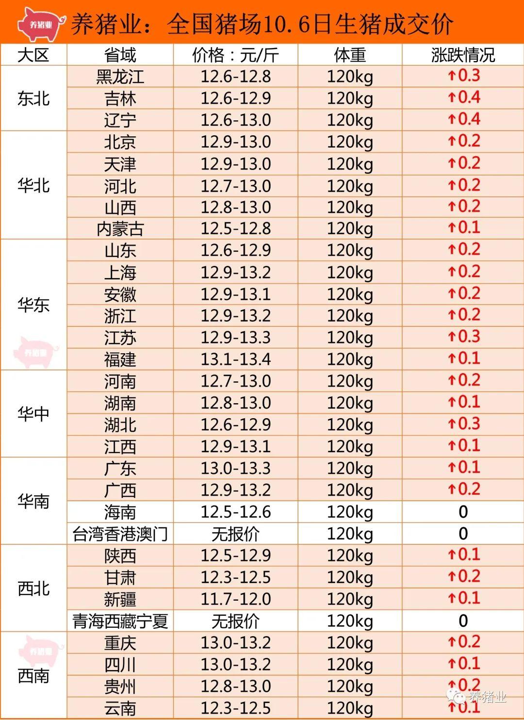 最新生猪价格概览，市场走势、影响因素与未来展望
