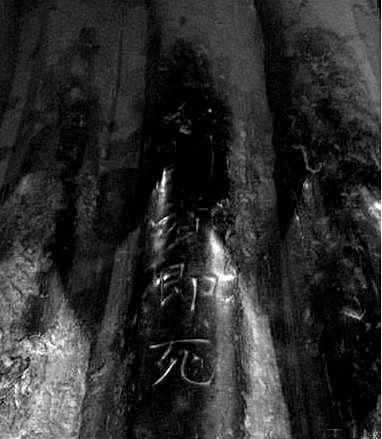 第712页