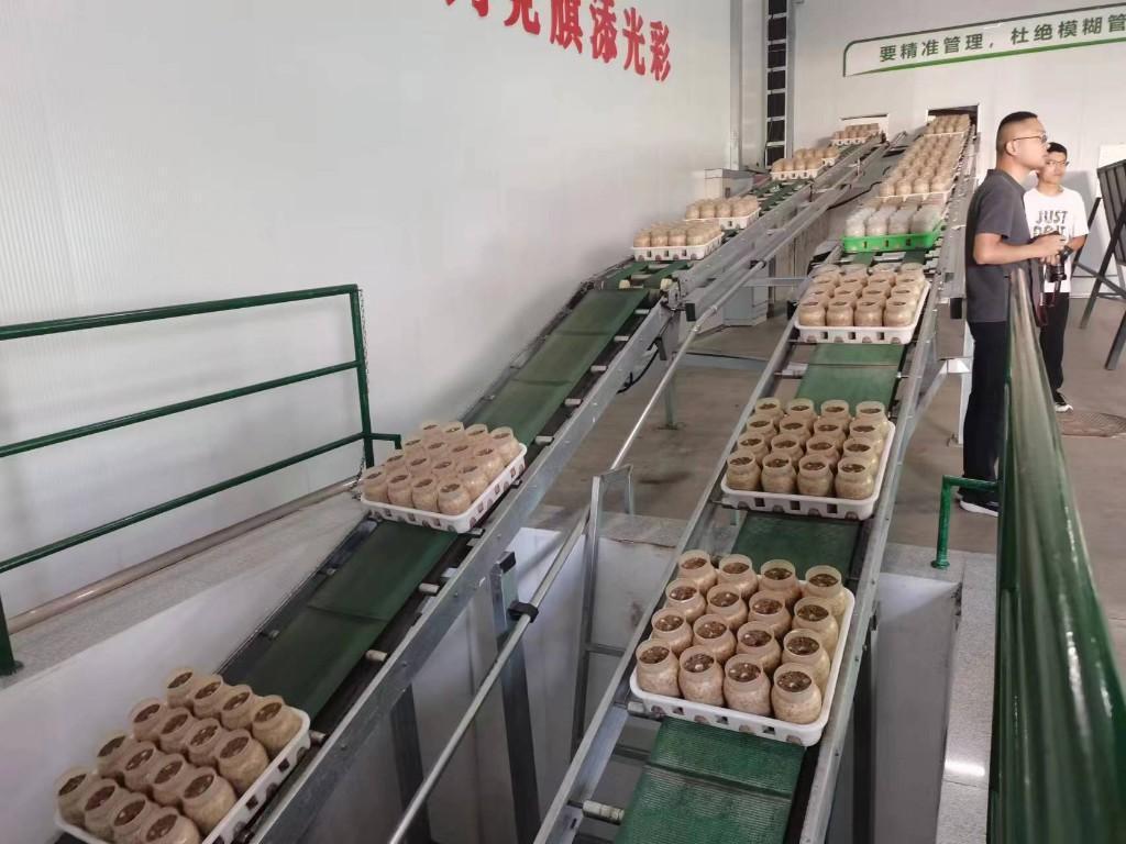 邹城云轨最新动态，获取与理解云轨交通系统信息的途径揭秘