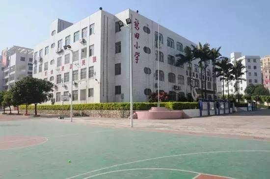 单县小学教育资源分布深度解读，最新排名大解密与教育资源分布探讨📚